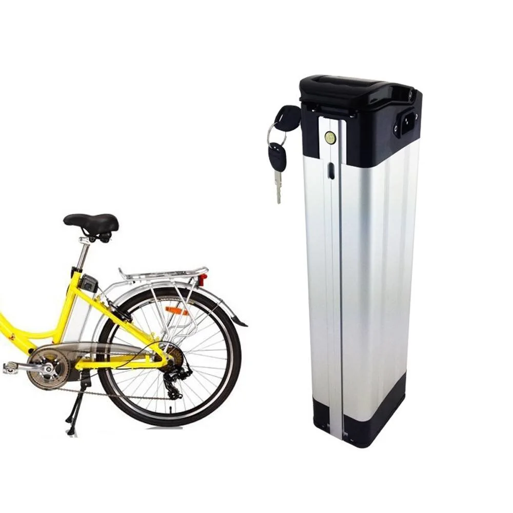 Black Aluminum Case Silver Fish Seat Tube Ebike Battery 48V